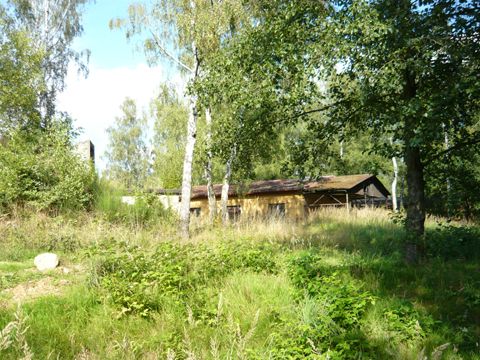 Foto 42